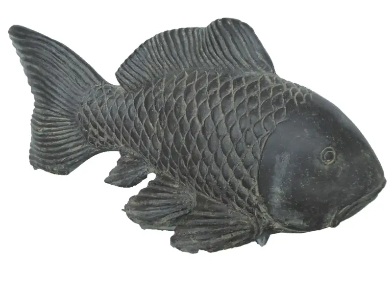 Product image of the product “Koi carp , 75cm Length 75 cm”